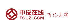 中投在线股份有限公司